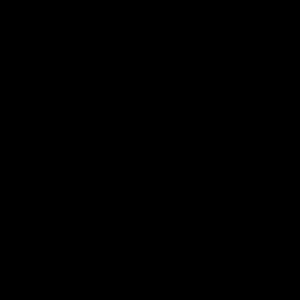 Meet your Posher, Lizeth